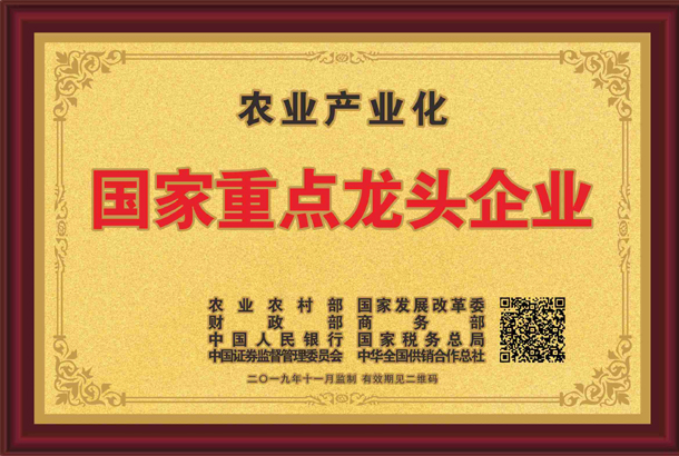 殊榮加身！湘豐茶業集團再獲標桿龍頭企業和優勢特色產業30強等稱號
