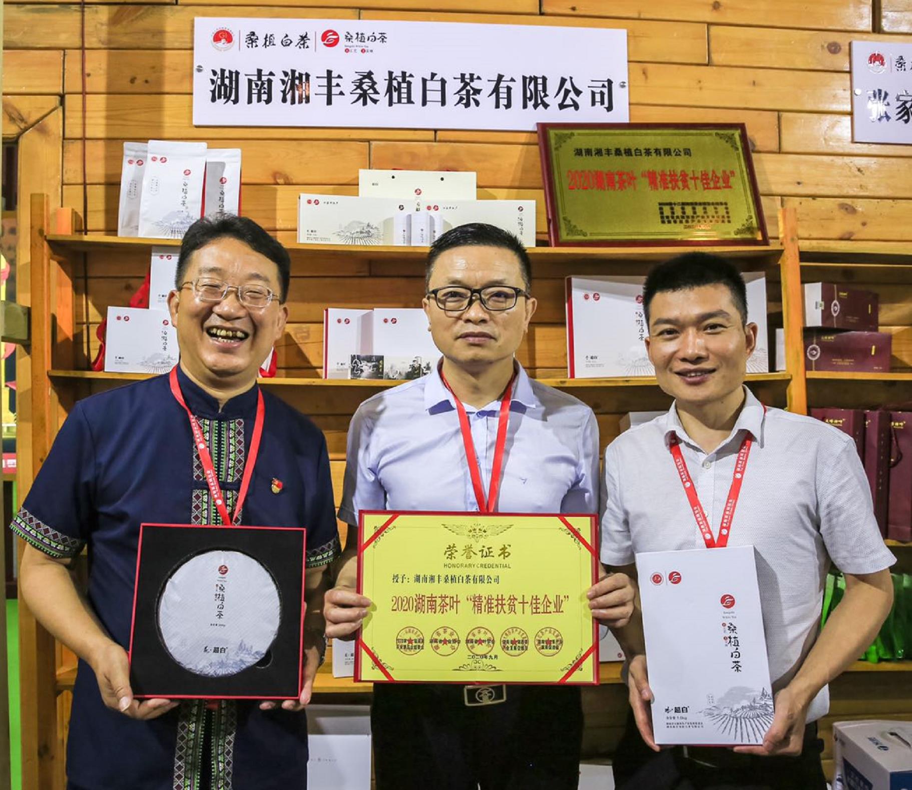 榮耀三連！湘豐桑植白茶再獲金獎