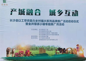好喝更好看！湘豐茶業(yè)閃耀慧潤盈商小鎮(zhèn)“金井鎮(zhèn)專題推廣月活動”