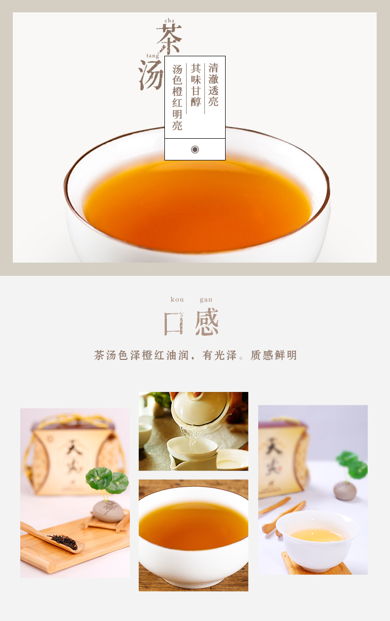 天尖茯茶_05.jpg