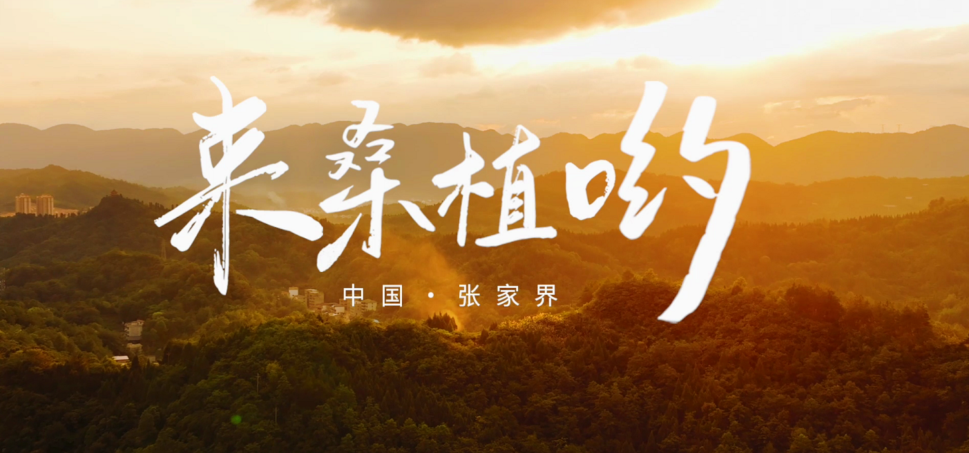 桑植推廣歌曲《來桑植喲》發(fā)布！