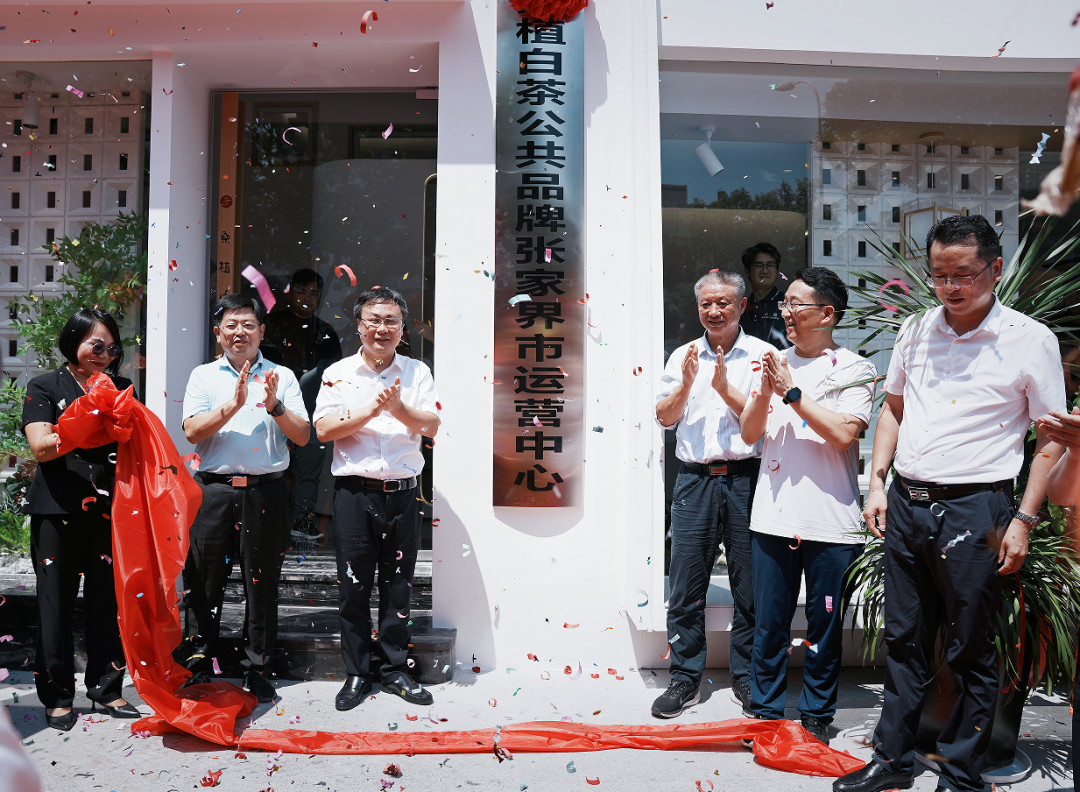 喜報！張家界白莓旗艦店盛裝開業(yè)暨桑植白茶公共品牌張家界市運營中心隆重揭牌！